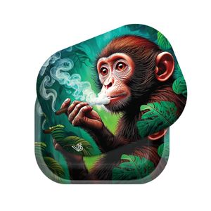 V Syndicate Roll n Go Set - Small